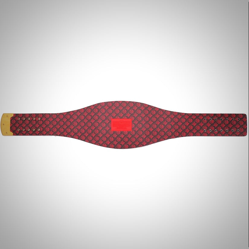 Atlanta Falcons Championship Belt - WWE NFL Legacy Title
